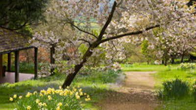 Offer image for: Batsford Arboretum & Garden Centre - 10% discount