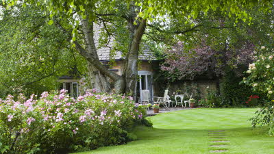 Grassy garden view with paving stones leading up to a cottage